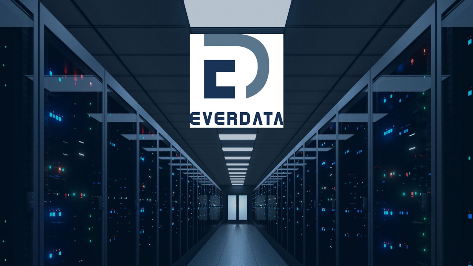 Everdata
